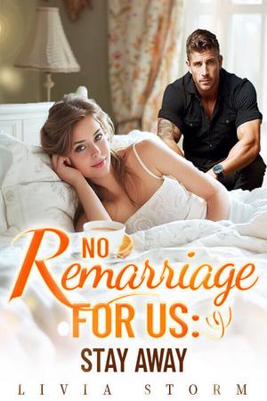 No Remarriage for us Stay Away by Livia Storm